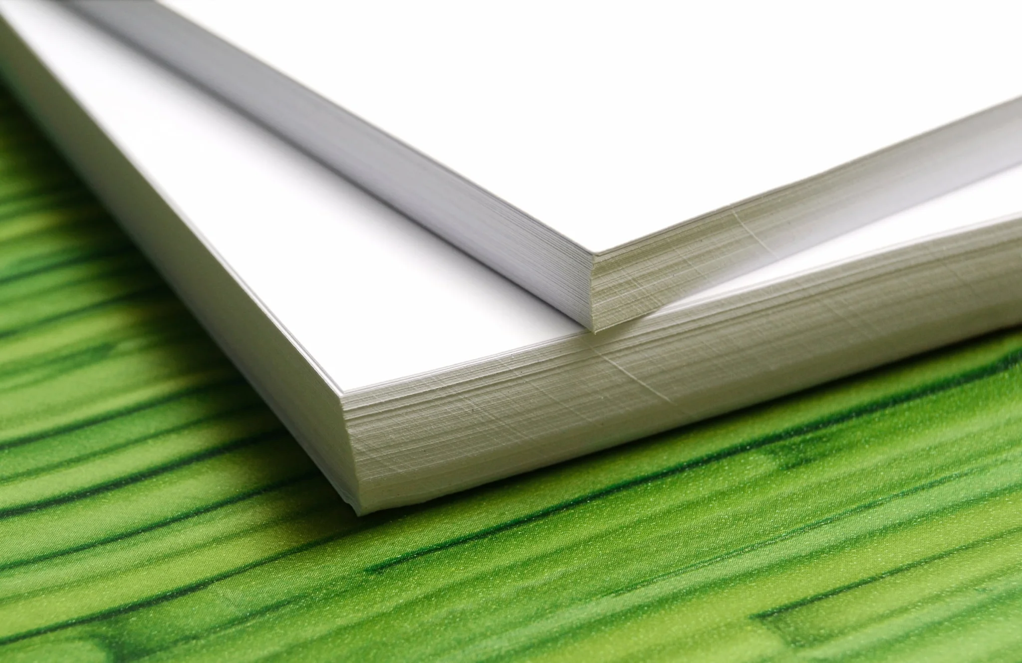 eco friendly sustainable print paper and leaf